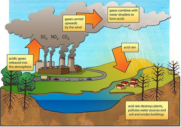 Kangen Water and reducing acid rain effects