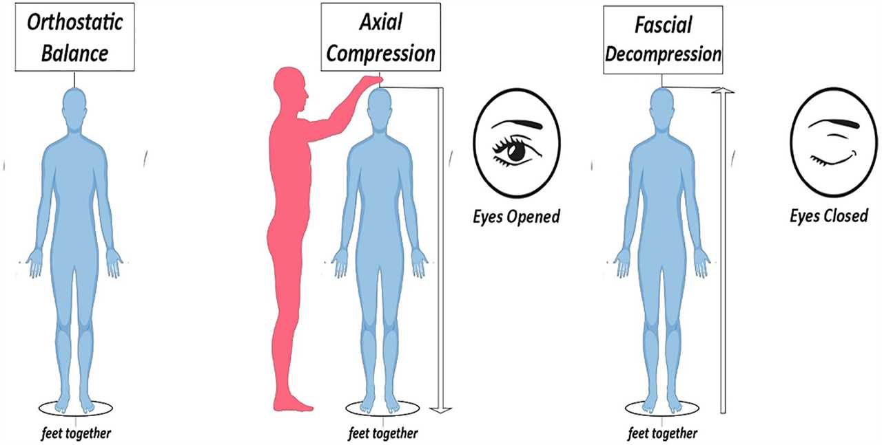 Hydration and Posture Enhancing Your Bodys Alignment and Stability