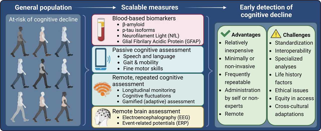 Hydration for Senior Mental Sharpness Enhancing Cognitive Function in Aging