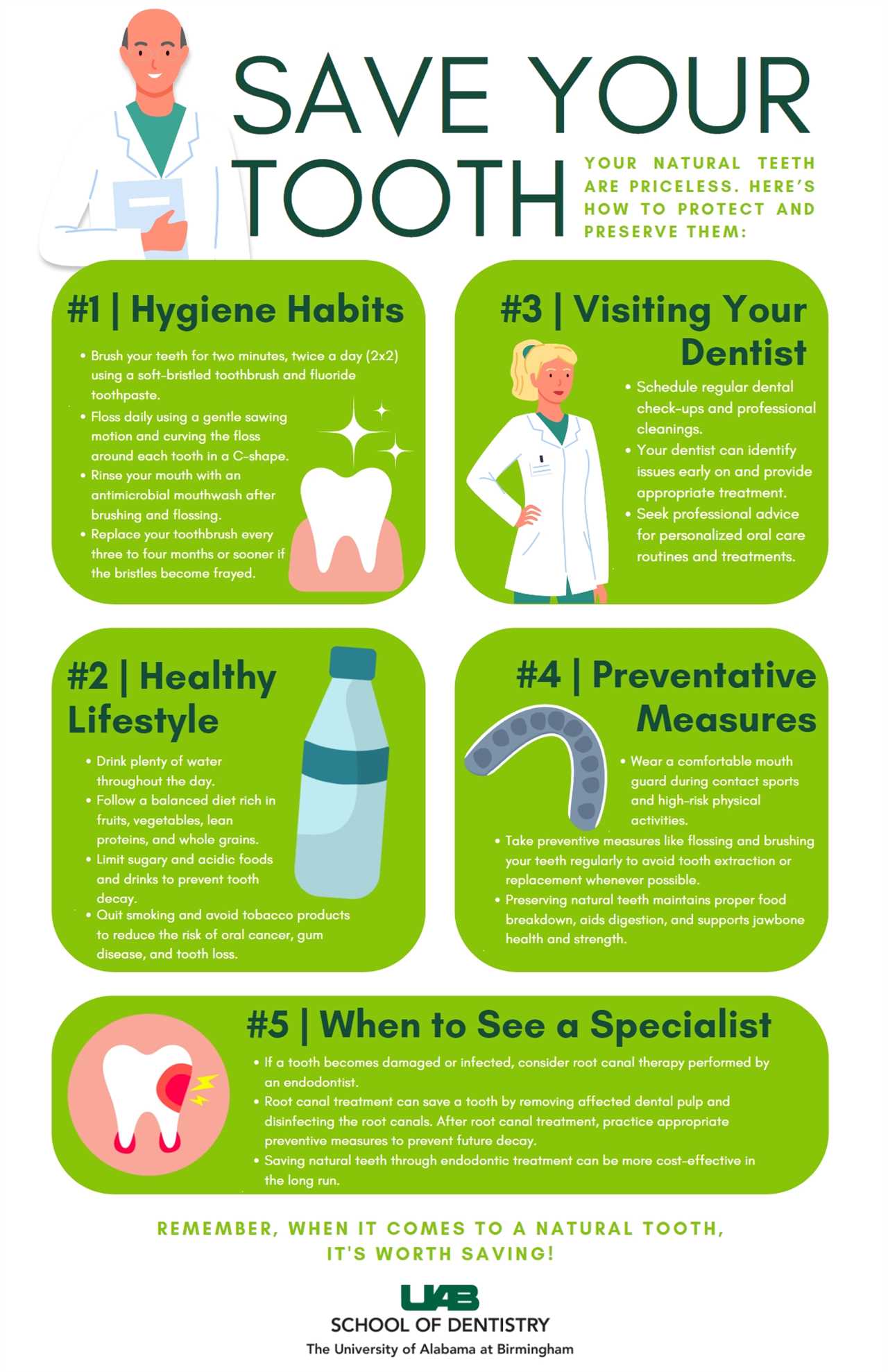 Hydration and Dental Health Preventing Tooth Decay and Gum Disease